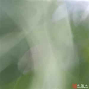 image10