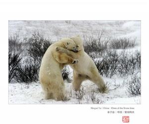 image11