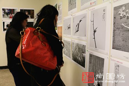 美国多家媒体报道：“风从东方来”摄影展亮相纽约华埠 展中国变化