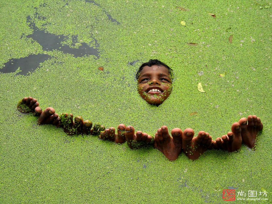 1 FIAP金牌 Relax 摄影:Nimai Chandra Ghosh(印度).png