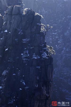 image10