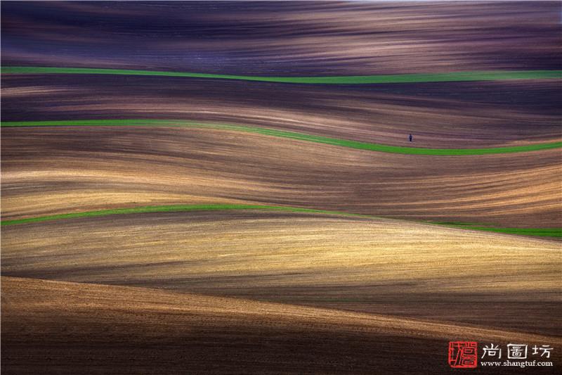 Lost man in the field.jpg