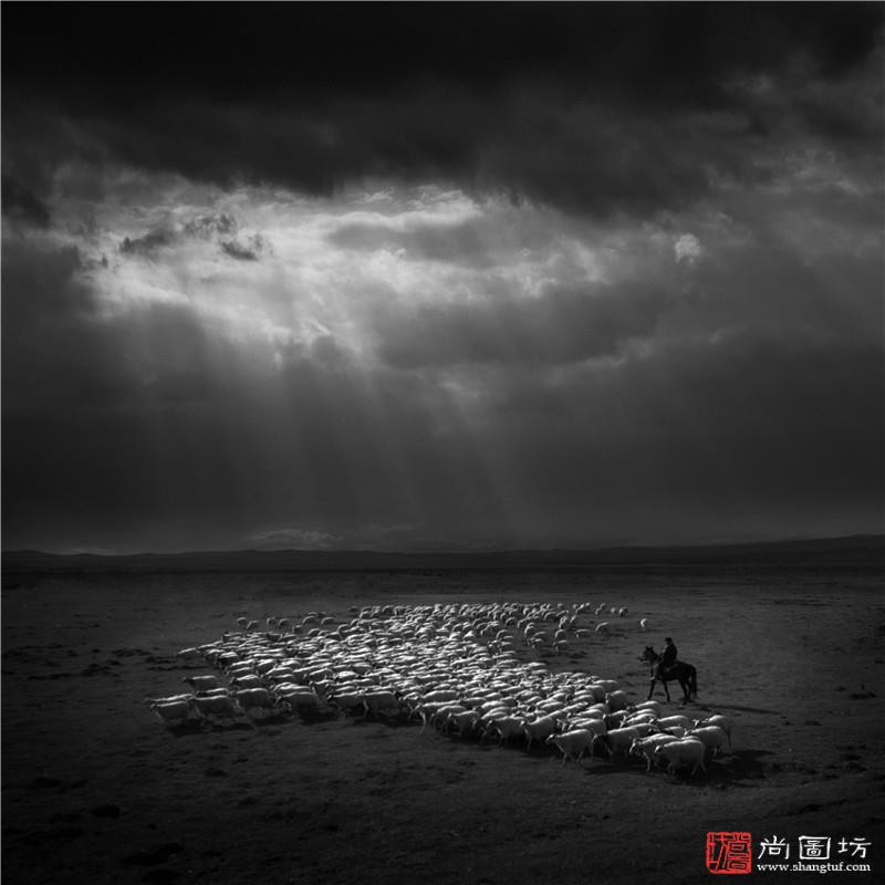 国际影赛获奖作品赏析(第七十七期) 尚图坊国际摄影