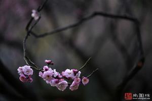 image11