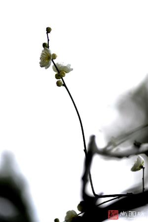 image13