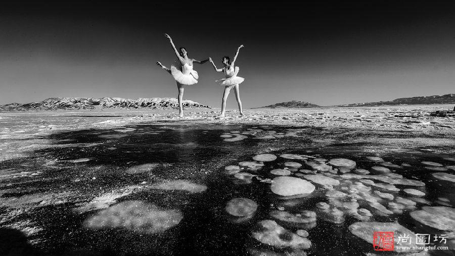 《塞里木湖蓝冰天鹅舞-Swan dance in Sayram Lake》摄影:黄星航 黑白开放组 PSS 勋带奖.jpg