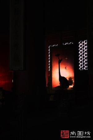 image15