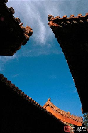 image31
