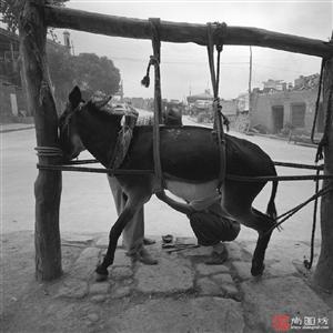 image11