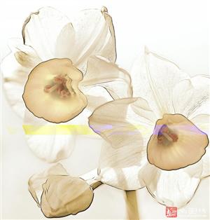 image12