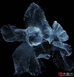 image10
