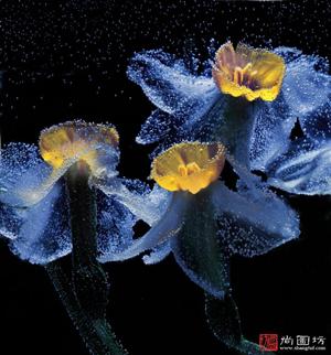 image23