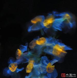 image22