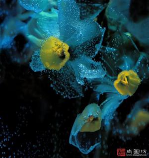 image21