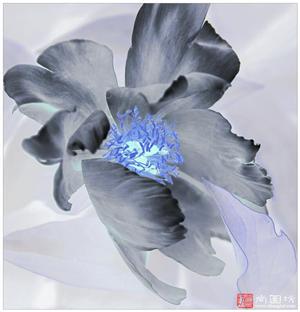 image6