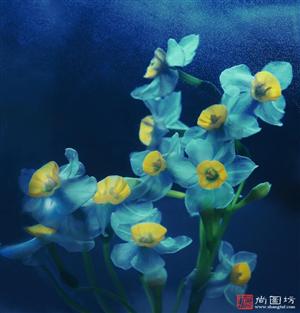 image20