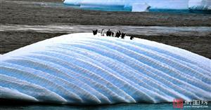 image15