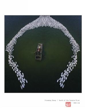 image11