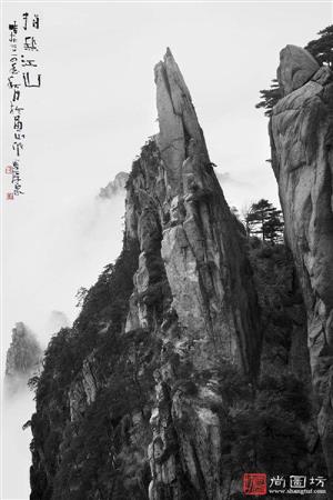 image31