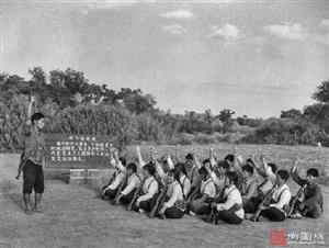image33