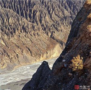 image10