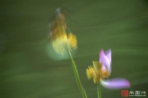 image28