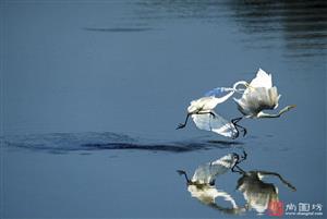 image35