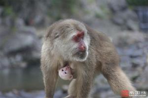 image10