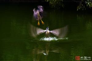 image32
