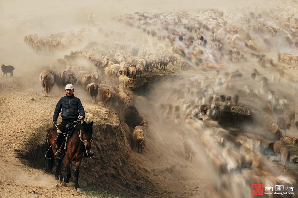 《迁徙Migration》摄影:徐杰 Xu Jie-中国 China.jpg